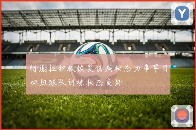特谢拉积极恢复伤病状态力争早日回归球队训练状态良好